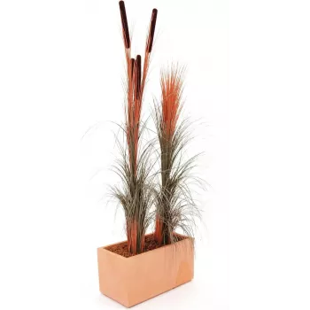 EUROPALMS mākslīgā niedru zāle ar vilkvālēm, gaiši brūna, 152cm 82505856