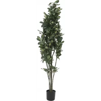EUROPALMS mākslīgais šefleras augs, 120cm, zaļš 82600157