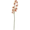 EUROPALMS mākslīgais Cymbidium zars, krēmkrāsas rozā, 90cm 82530311