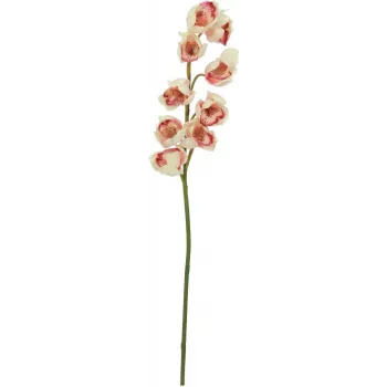 EUROPALMS mākslīgais Cymbidium zars, krēmkrāsas rozā, 90cm 82530311