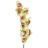 EUROPALMS mākslīgais Cymbidium orhideju zars, zaļš, 90cm 82530313