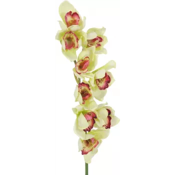 EUROPALMS mākslīgais Cymbidium orhideju zars, zaļš, 90cm 82530313