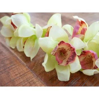 EUROPALMS mākslīgais Cymbidium orhideju zars, zaļš, 90cm 82530313