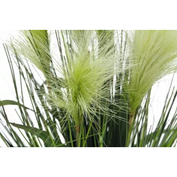 EUROPALMS mākslīgais spalvu zāles augs, balts, 60cm 82505864