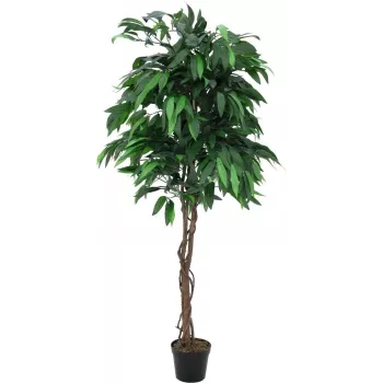 EUROPALMS mākslīgais mango džungļu koks, 180 cm 82506726