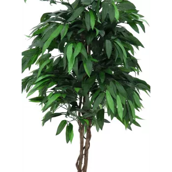 EUROPALMS mākslīgais mango džungļu koks, 180 cm 82506726
