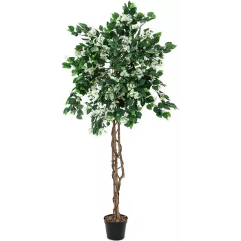 EUROPALMS mākslīgais bugenvilijas augs, balts, 180 cm 82507086