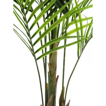 EUROPALMS lielu lapu Areca mākslīgais augs, 165cm 82509441
