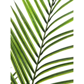 EUROPALMS lielu lapu Areca mākslīgais augs, 165cm 82509441