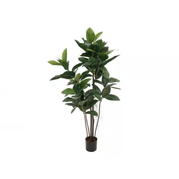EUROPALMS Gumijkoks mākslīgais augs, 120cm 82600150