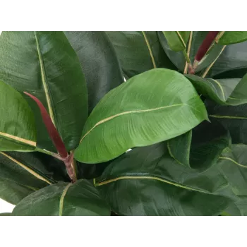 EUROPALMS Gumijkoks mākslīgais augs, 120cm 82600150