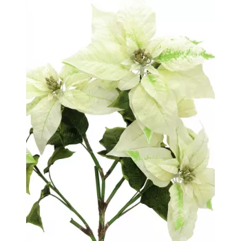 EUROPALMS mākslīgais puansetijas krūms, krēmkrāsas, 60cm 83500433