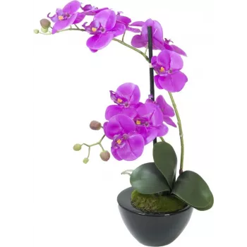 EUROPALMS mākslīgo orhideju kompozīcija 4, baltas Phalaenopsis keramikas podā, 60 cm 82530349
