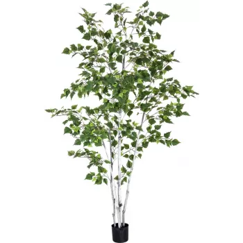 EUROPALMS mākslīgais bērzs, 210 cm 82505232
