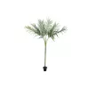 EUROPALMS Areca deluxe mākslīgais augs, 180cm 82509443