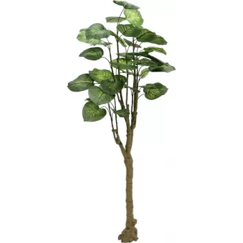 EUROPALMS Pothos mākslīgais koks 175cm 82600163