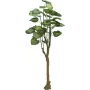 EUROPALMS Pothos mākslīgais koks 175cm 82600163