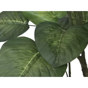 EUROPALMS Pothos mākslīgais koks 175cm 82600163