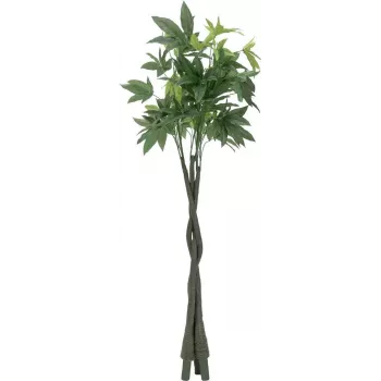 EUROPALMS mākslīgais Pachira naudas koks, 160cm 82600165