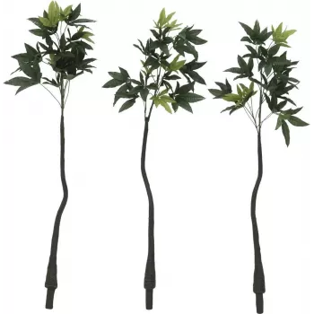 EUROPALMS mākslīgais Pachira naudas koks, 160cm 82600165