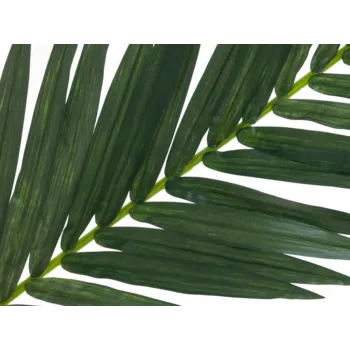 EUROPALMS mākslīgā kokospalmas lapu vīkne, 150 cm 82509845
