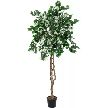 EUROPALMS mākslīgais augs bugenvilija, balts, 150cm 82507085