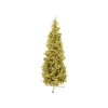EUROPALMS FUTURA mākslīgā Ziemassvētku egle, zelta metāliska, 210 cm 83500555