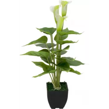 EUROPALMS Calla mini mākslīgais kalas lilijas augs, balts, 43 cm 82540347