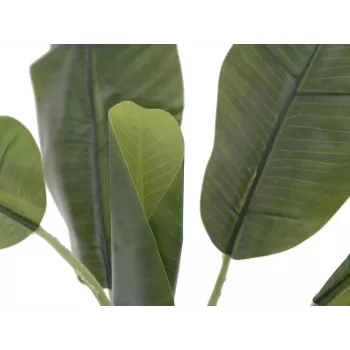 EUROPALMS mākslīgais banānu koks, 100cm, zaļas lapas, melns pods 82509503