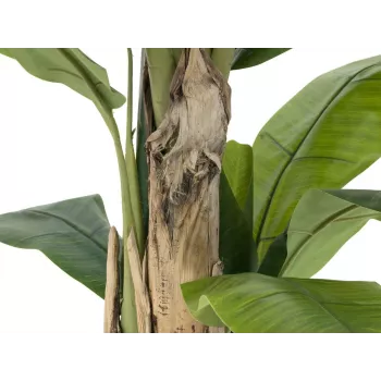 EUROPALMS mākslīgais banānu koks, 170cm, zaļas lapas, melns pods 82509539