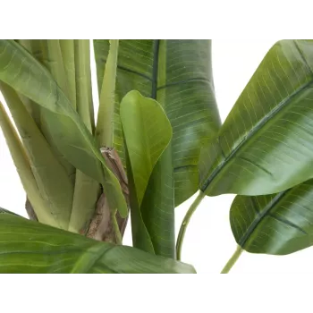 EUROPALMS mākslīgais banānu koks, 170cm, zaļas lapas, melns pods 82509539
