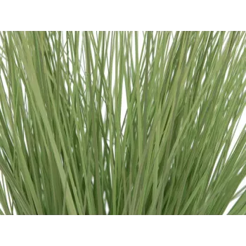 EUROPALMS mākslīgā dekoratīvā zāle, 65 cm, zaļa, melns pods 82600145
