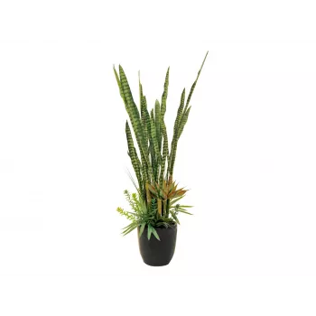 EUROPALMS Succulent Mix mākslīgais augs, 190cm 82600035
