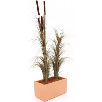 EUROPALMS mākslīgā niedru zāle ar pūkām, tumši brūna, 152cm 82505857