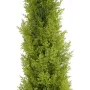 EUROPALMS mākslīgais Leyland cipreses augs, 120 cm, zaļa lapotne, melns pods 82606964