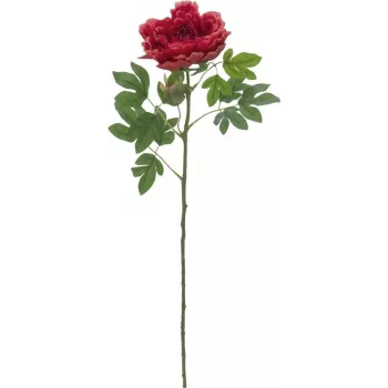 EUROPALMS Classic Peony Branch mākslīgais augs, fuksijas krāsā, 80cm 82530211