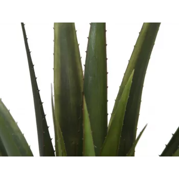 EUROPALMS mākslīgais alvejas augs, 60 cm, melns pods 82600167