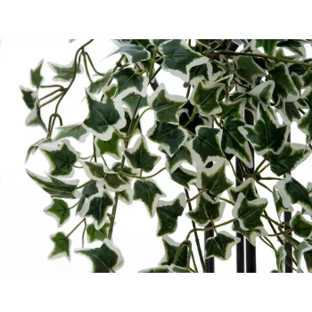EUROPALMS Holland Ivy Hedge Screen Classic, mākslīgs, 60cm 82502210