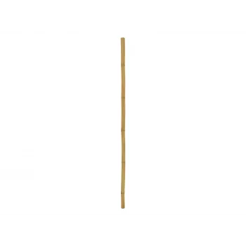 EUROPALMS bambusa stabs, Ø 5 cm, 200 cm 83313201