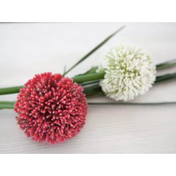 EUROPALMS mākslīgais Allium stublājs, sarkans, 55cm 82530568