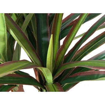 EUROPALMS mākslīgā dracēna, 120 cm 82505779