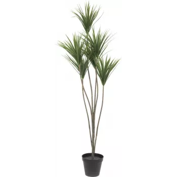 EUROPALMS Yucca Palm mākslīgais augs, 130cm 82511552