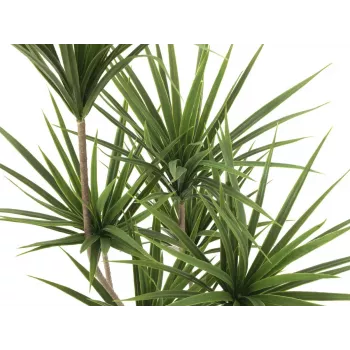 EUROPALMS Yucca Palm mākslīgais augs, 130cm 82511552