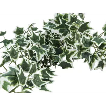 EUROPALMS Holland Ivy Bush Screen Classic, mākslīgs, 70cm 82502211