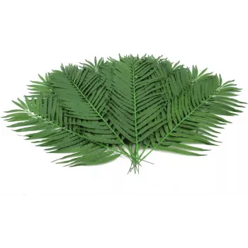 EUROPALMS mākslīgās kokospalmas lapas, 90 cm, 12 gabali, zaļas 82509896