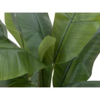 EUROPALMS mākslīgais banānu koks, 120cm, reālistiskas zaļas lapas, melns pods 82509537