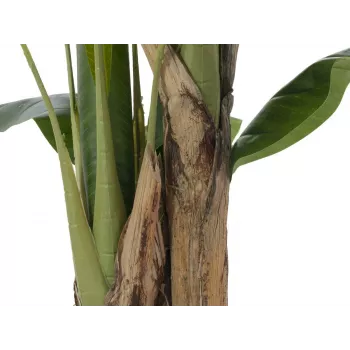 EUROPALMS mākslīgais banānu koks, 120cm, reālistiskas zaļas lapas, melns pods 82509537