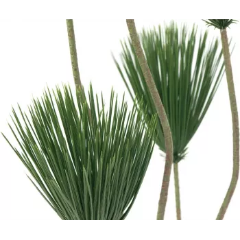 EUROPALMS Papirus mākslīgais augs, 130 cm 82600235