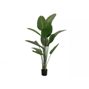 EUROPALMS mākslīgā strelicija, 170 cm 82540523