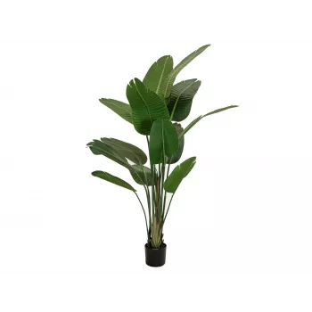 EUROPALMS mākslīgā strelicija, 170 cm 82540523